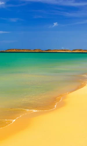 guajira (3)