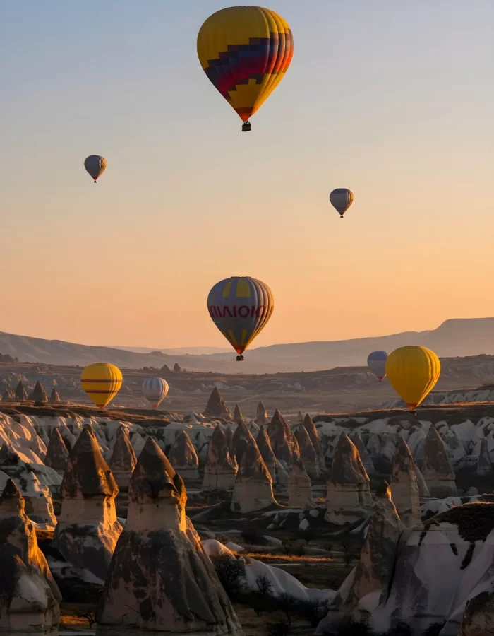 viajes internacionales agencia de viajes oso de anteojos_12